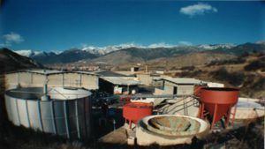 General view of the modified plant