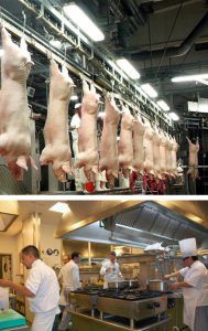 Cerdos en el matadero - Cocina - BIOPOP